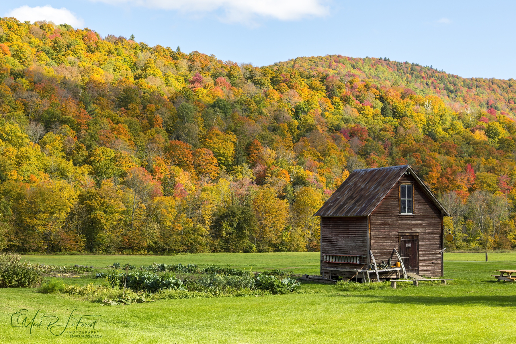 Fall in Vermont